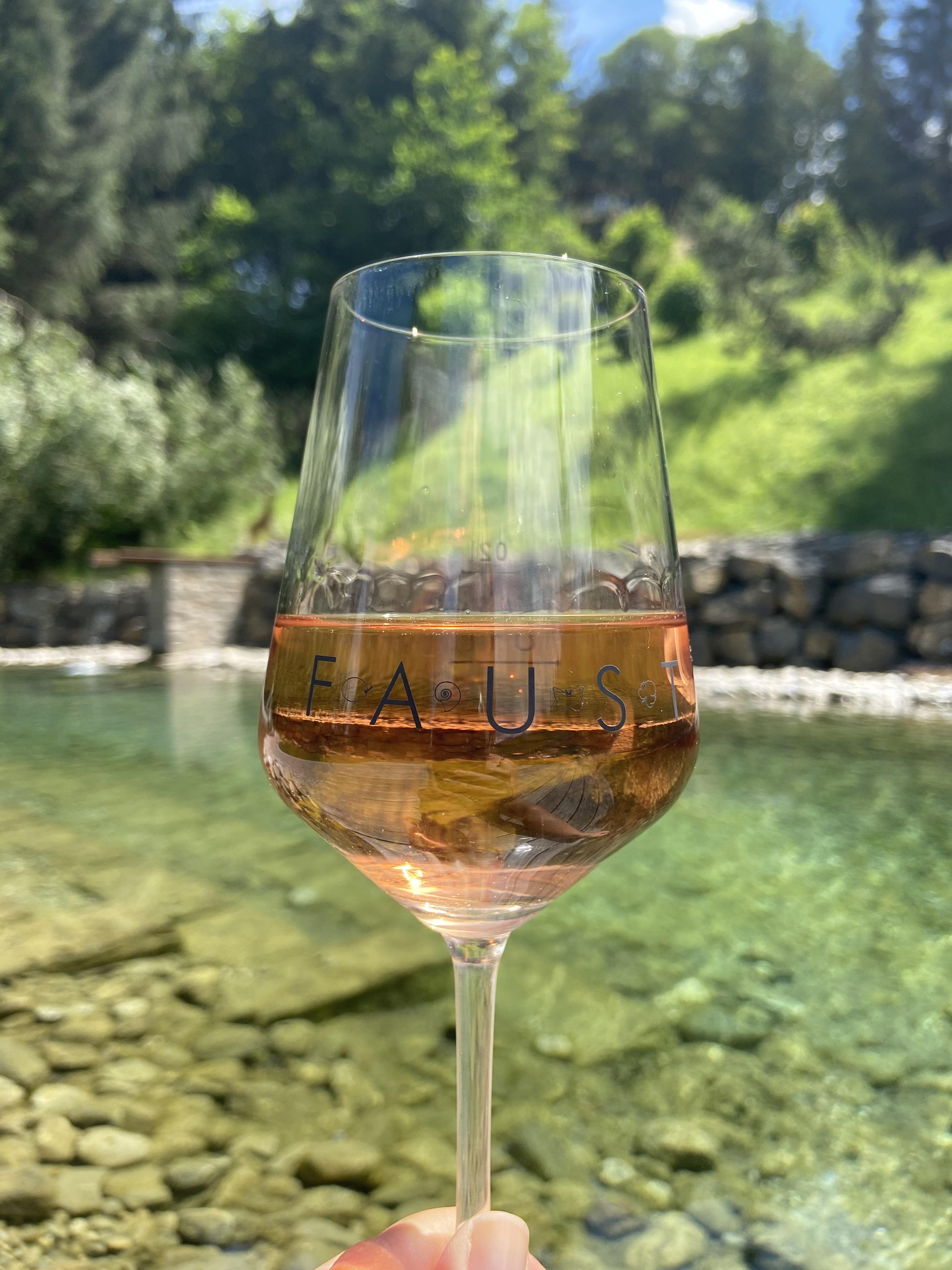 PROTAGONIST WEIN trifft unseren Rosé